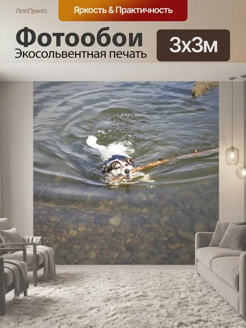 Фотообои Собака
