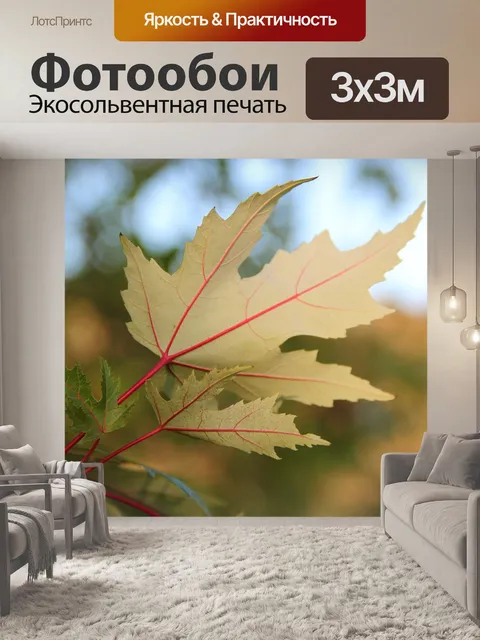 Фотообои Листья
