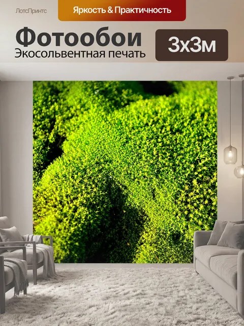 Фотообои зеленый мох макросов