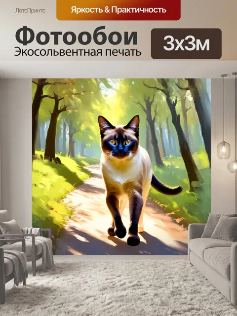 Фотообои сиамская кошка, идущая по лесной тропе, залитой солнечным светом