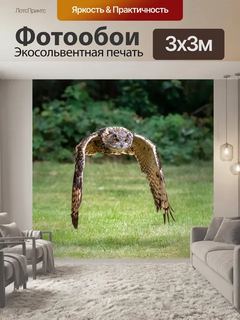 Фотообои Птица