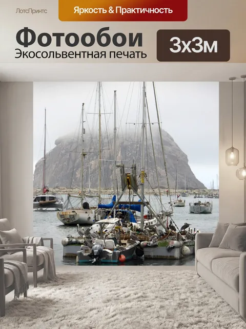 Фотообои Пеликан Краткая на лодках