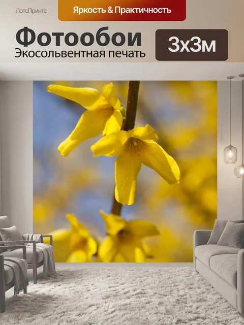Фотообои Форсайтия