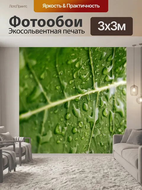 Фотообои Мокрый