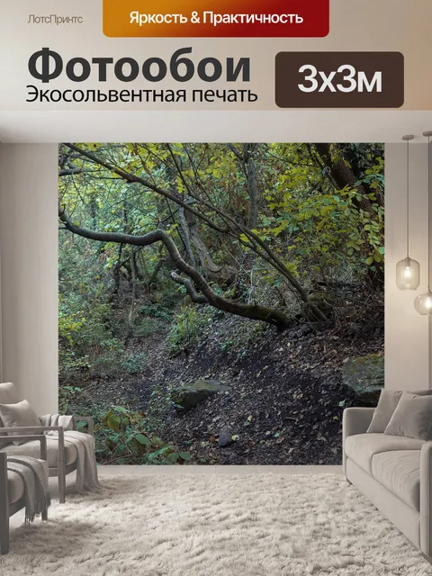 Фотообои Темный
