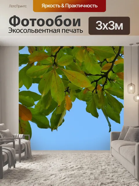 Фотообои Листья