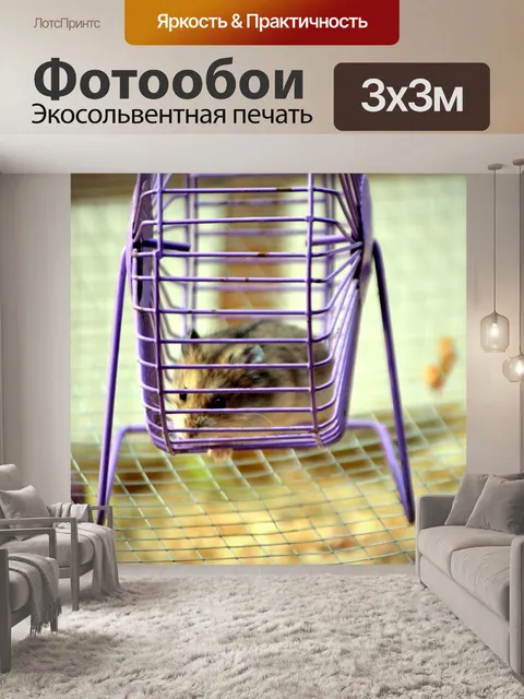 Фотообои Хомяк колеса