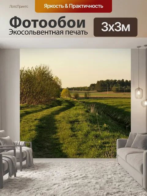 Фотообои Поле дорога