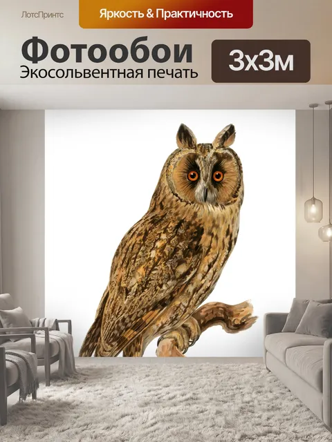 Фотообои Винтажная сова