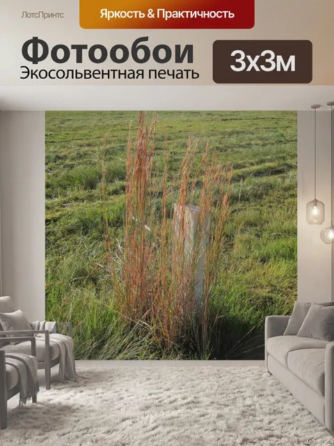 Фотообои высокая трава на поле