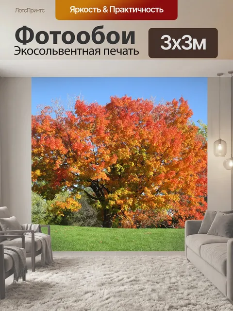 Фотообои Осень