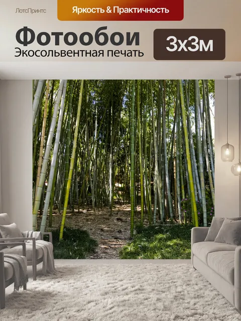 Фотообои Бамбуковый лес