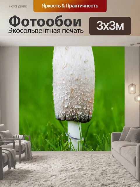 Фотообои Гриб на траве