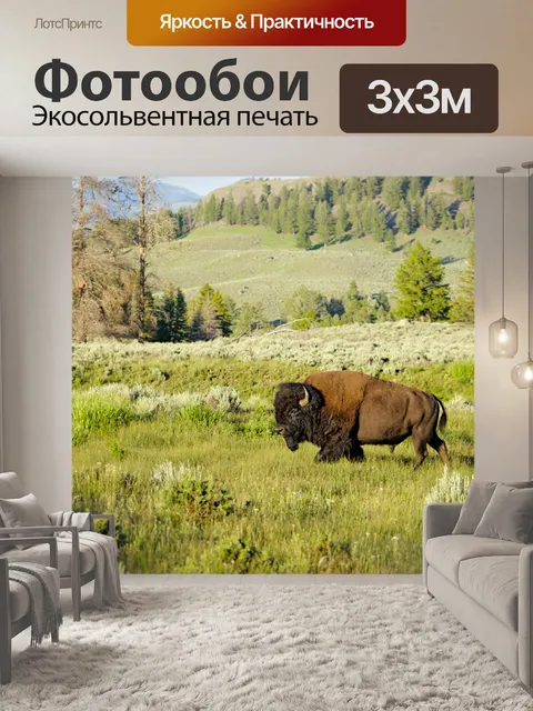 Фотообои Профиль в Буффало