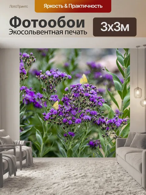 Фотообои бабочки на полевых цветах