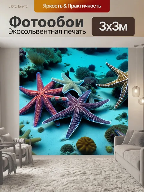 Фотообои разнообразные морские звезды на дне