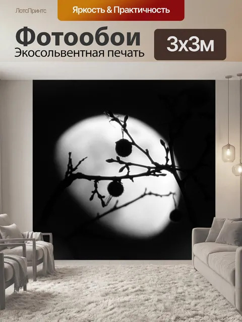 Фотообои Чокнутый Луна