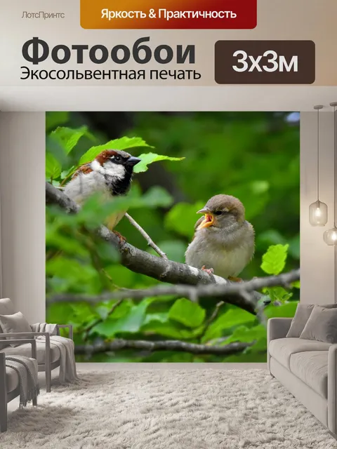 Фотообои Домовый воробей