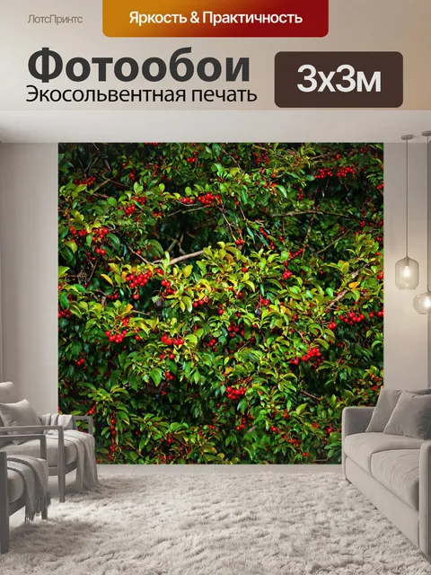 Фотообои лес с дикими ягодами, растущими на кустах
