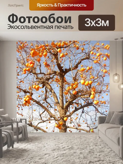 Фотообои Хурма