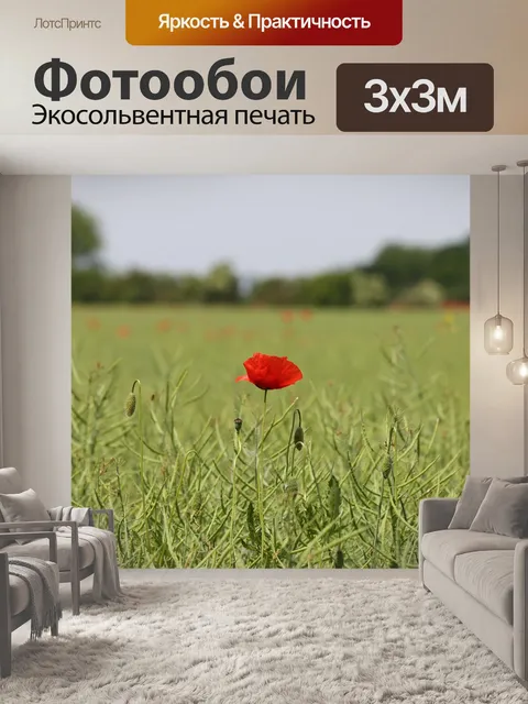 Фотообои Один красный мак