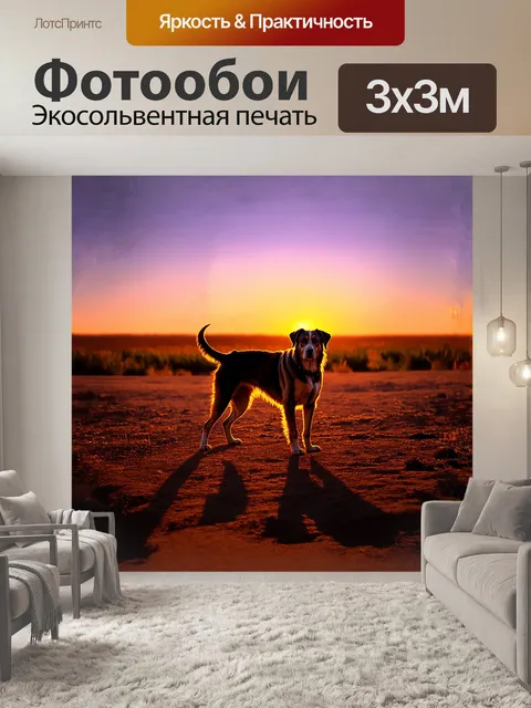 Фотообои собака на фоне западных красот заката