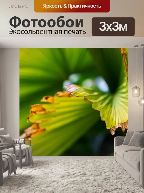 Фотообои Лист