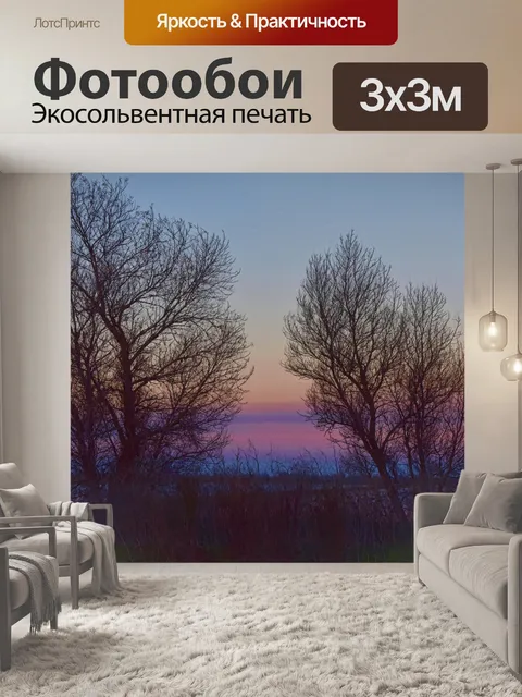 Фотообои Голые деревья на закате