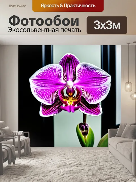 Фотообои орхидея с отражениями в раме зеркала