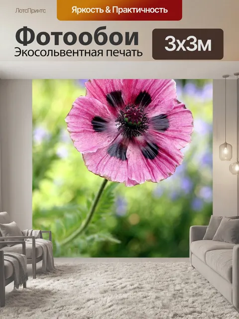Фотообои Мака