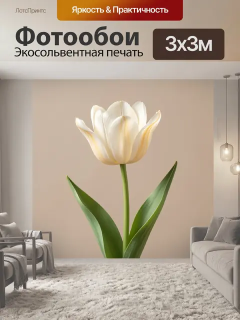 Фотообои Белый тюльпан на бежевом фоне