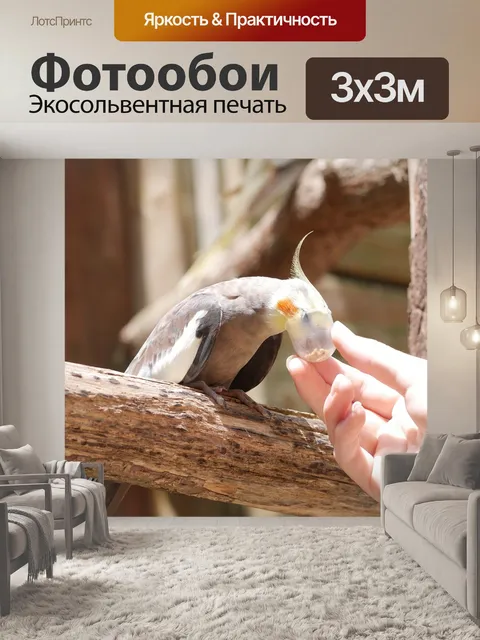 Фотообои Птица