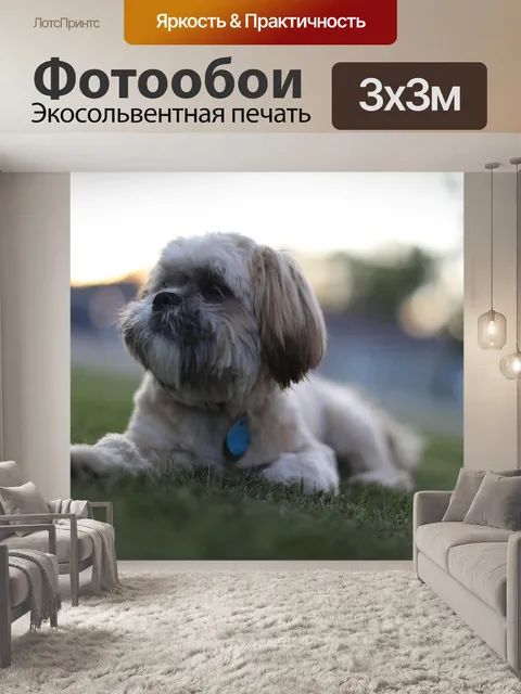 Фотообои Щенок