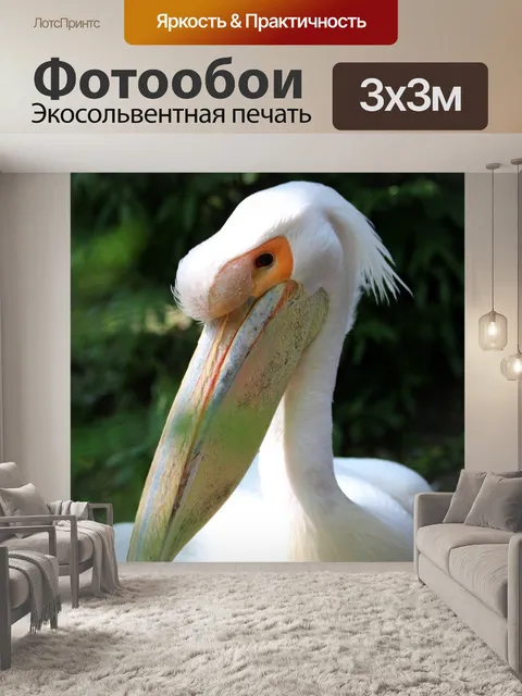 Фотообои Розовый пеликан