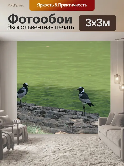 Фотообои Два кузнеца зуйки чибис