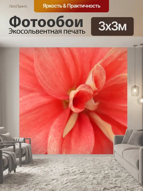 Фотообои Размер георгина 1