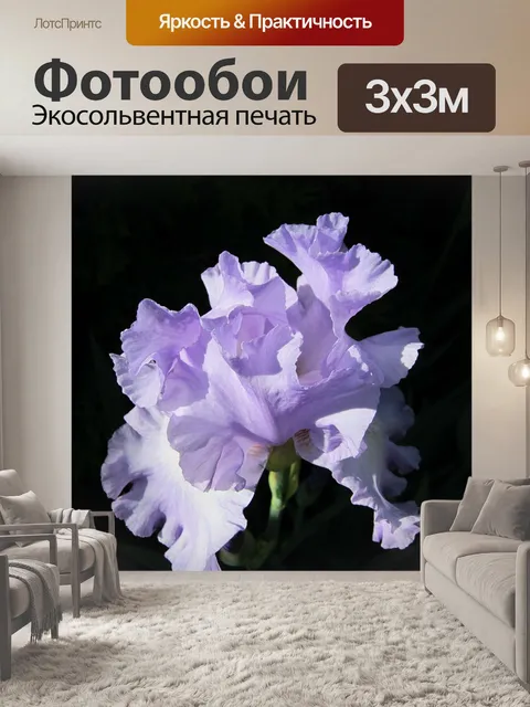 Фотообои Ирис