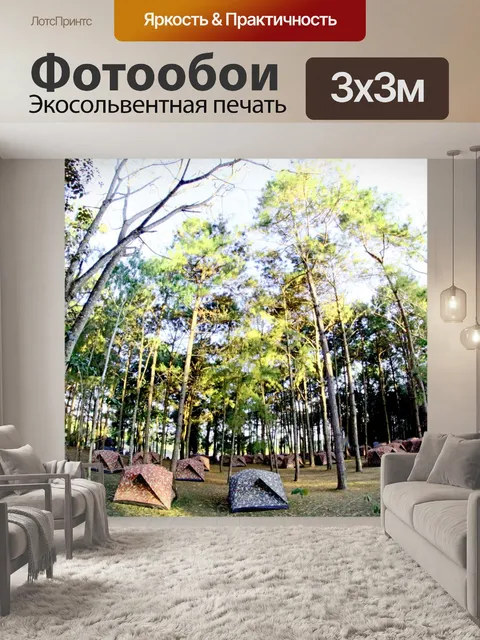 Фотообои кемпинг в сосновом Форрест на Фу Хин Рон