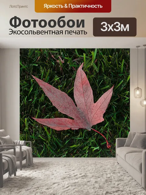 Фотообои Autum лист на траве
