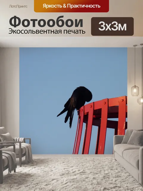 Фотообои Ворона