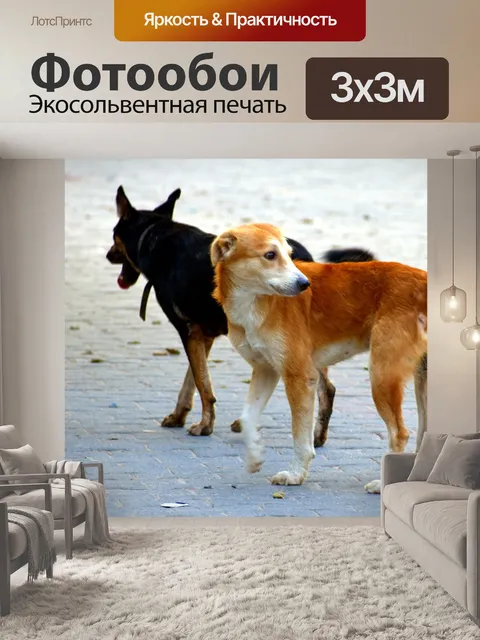 Фотообои Собаки