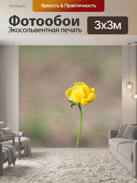 Фотообои Чина луга
