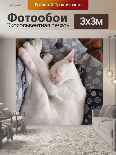 Фотообои Уютный