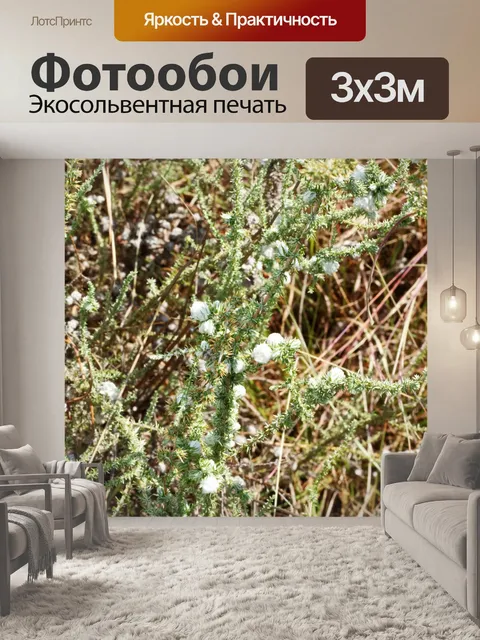 Фотообои куст с белыми цветами