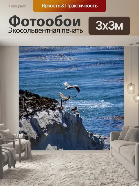 Фотообои Пеликаны