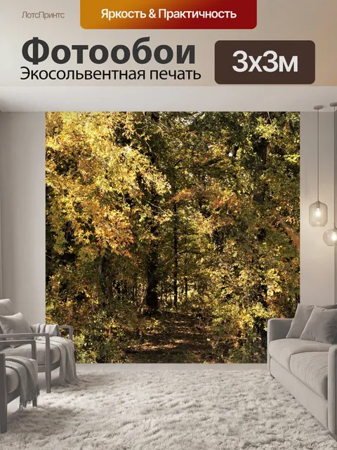 Фотообои Путь в лесу осенью
