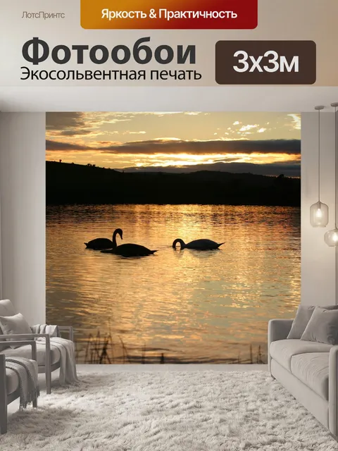 Фотообои Лебеди