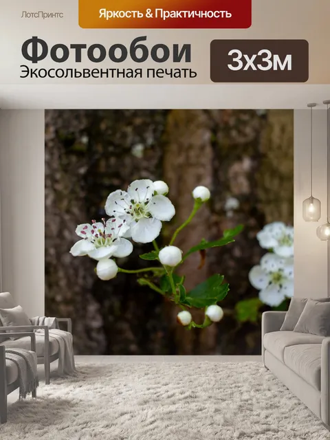 Фотообои Цветы