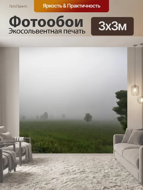Фотообои природа в утреннем тумане