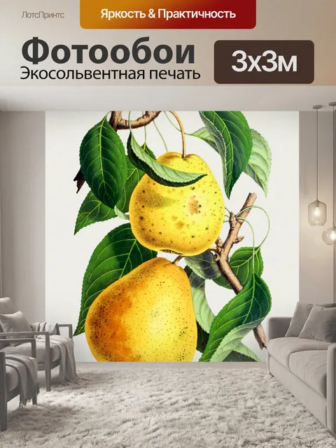 Фотообои Груши фрукты фрукты арт